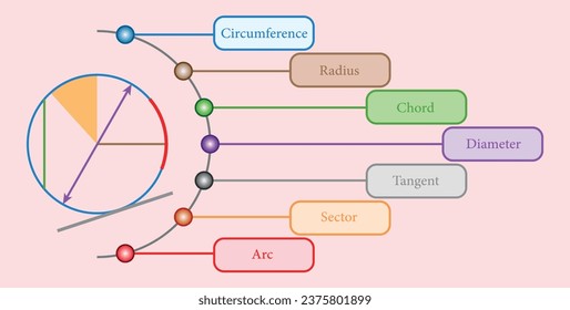 Parts of circle. Circles for kids. Radius, Diameter, Circumference, Chord, Arc, Tangent, Segment and sector. Mathematics resources for teachers and students.