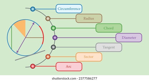 Parts of circle. Circles for kids. Radius, Diameter, Circumference, Chord, Arc, Tangent, Segment and sector. Mathematics resources for teachers and students.