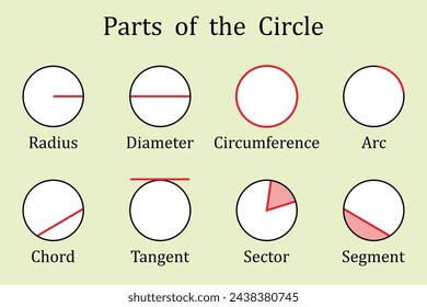 Parts of a Circle. Education. Science. School. Vector illustration.