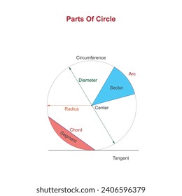 Parts of a circle in mathematics including radius, diameter,circumference, segment, tangent,center, chord. vector illustration.