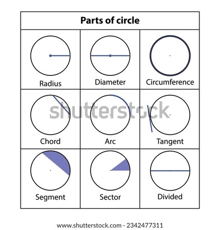 Parts of the circle. Radius, Diameter, coreference, chord, arc, tangent, segment, sector, divided, math teaching pictures.  Geometric shapes. Vector illustration.