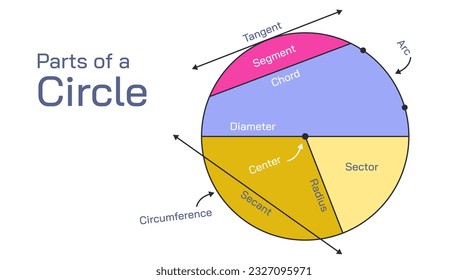 Parts of a circle vector illustration, what is segment, radius, diameter, tangent, chord, sector, arc, circumference of a circle? What is a circle. Basic geometry math study material for students.