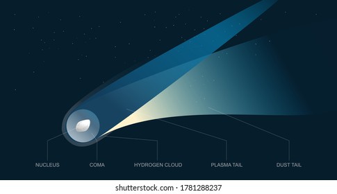 Parts of a Comet with plasma and dust tail, labelled vector illustration