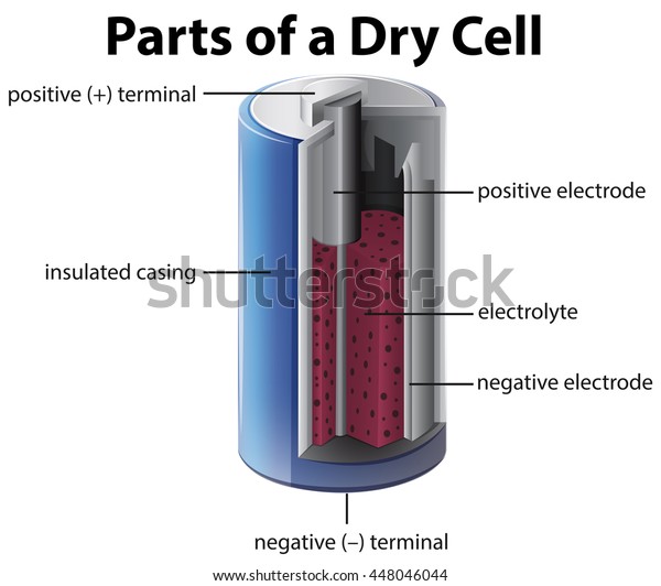 Parts Dry Cell Battery Stock Vector  Royalty Free  448046044