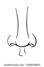 parts of a face