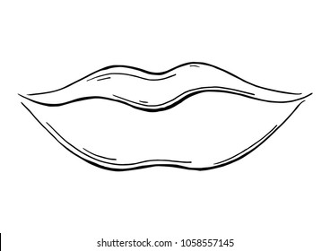 parts of a face