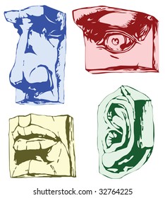 Parts of face