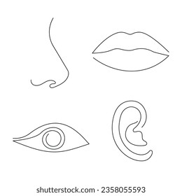 Partes de la cara (ojo, labios, nariz, oreja) dibujadas en una línea continua. Dibujo de una línea, minimalismo. Ilustración vectorial.