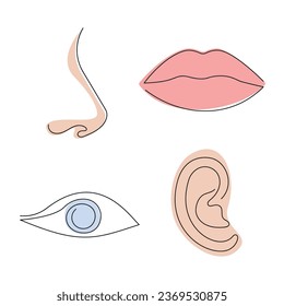 Partes de la cara (ojo, labios, nariz, oreja) dibujadas en una línea continua. Dibujo de una línea, minimalismo. Ilustración vectorial.