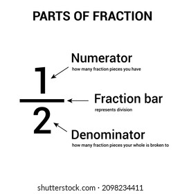 Parts Of Fraction. Numerator, Denominator And Fraction Bar