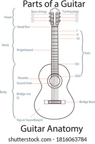 Parts of a guitar classic vector art