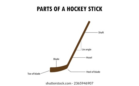 Parts of a hokey stick diagram