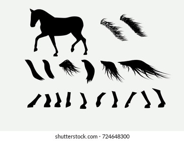 Parts of a horse isolated in vector