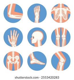 Parts of human body on x ray view. Different x-rays shot of human body part, set. Various x-ray pictures of head, hand, foot, leg, torso, chest and pelvis. Vector illustration