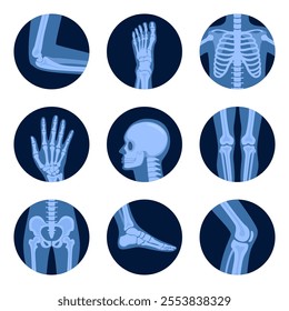 Parts of human body on x ray view. Different x-rays shot of human body part, set. Various x-ray pictures of head, hand, foot, leg, torso, chest and pelvis. Vector illustration