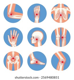 Parts of human body on x ray view. Different x-rays shot of human body parts with skeleton pain points. Chronic anatomy body injury in circle shape. Vector illustration