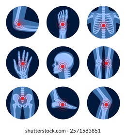 Parts of human body on x ray view. Different x-rays shot of human body parts with skeleton pain points. Chronic anatomy body injury in circle shape. Vector illustration