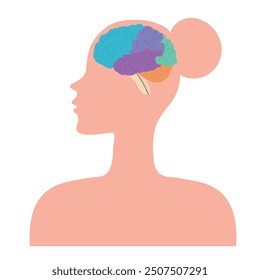 Parts of Human brain with colored parts diagram. Medical infographic