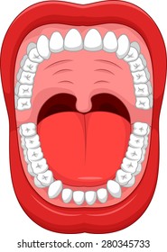 Parts of Human mouth. Open mouth and white healthy teeths. with explaining. 