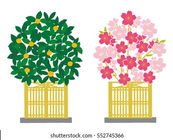 parts of the Japanese Girls' Festival. / March 3. Japanese celebrate Doll Festival(Girl's Festival). The festival is held to pray for young girls' health and happiness.