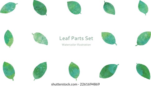 Parts of leaf watercolor illustration