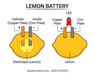 Piezas de la batería de limón - Célula electroquímica