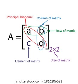 parts of a matrix. rows, columns, elements