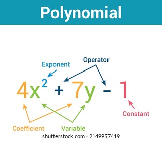 parts of polynomial algebraic expressions