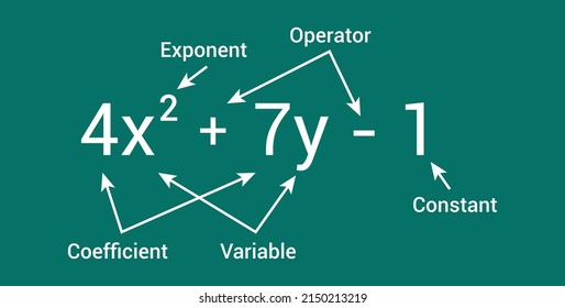 parts of polynomial algebraic expressions