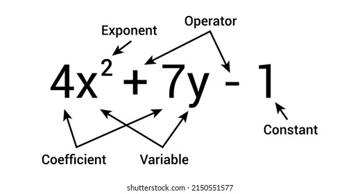 Parts Polynomial Algebraic Expressions Stock Vector (Royalty Free ...