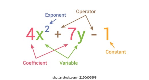 parts of polynomial algebraic expressions