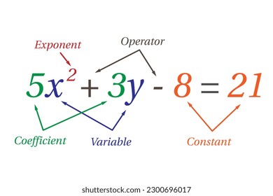 Parts of polynomial algebraic expressions. School. Math. Vector illustration.