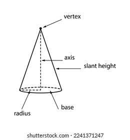 Parts of a right circular cone. Vector illustration.	