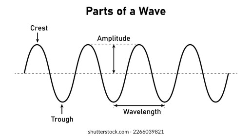 Parts of a transverse wave in physics. The basic properties of waves. Crest, trough, amplitude and wavelength. Vector illustration isolated on white background.