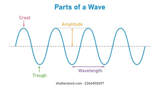 Parts of a transverse wave in physics. The basic properties of waves. Crest, trough, amplitude and wavelength. Vector illustration isolated on white background.