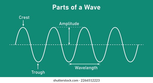 Parts of a transverse wave in physics. The basic properties of waves. Crest, trough, amplitude and wavelength. Vector illustration isolated on chalkboard.