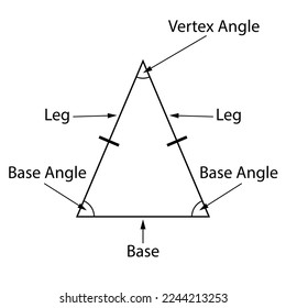 Parts of a triangle. Vector illustration.