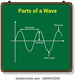 Parts Wave Crest Trough Amplitude Wavelength Stock Vector (Royalty Free ...