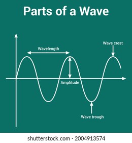 parts of a wave crest trough amplitude and wavelength
