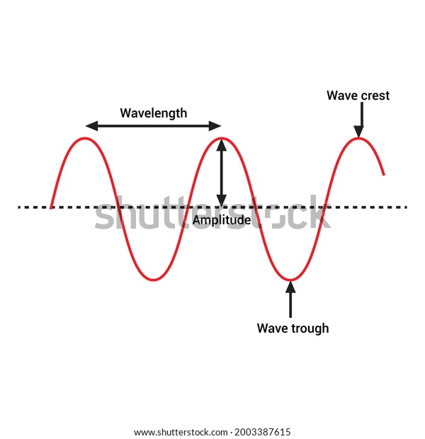 Parts Wave Crest Trough Amplitude Wavelength Stock Vector (Royalty Free ...