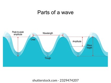 Parts of a wave Crest, trough, wavelength, and amplitude. vector illustration