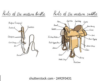Parts western saddle   bridle  Horse tack