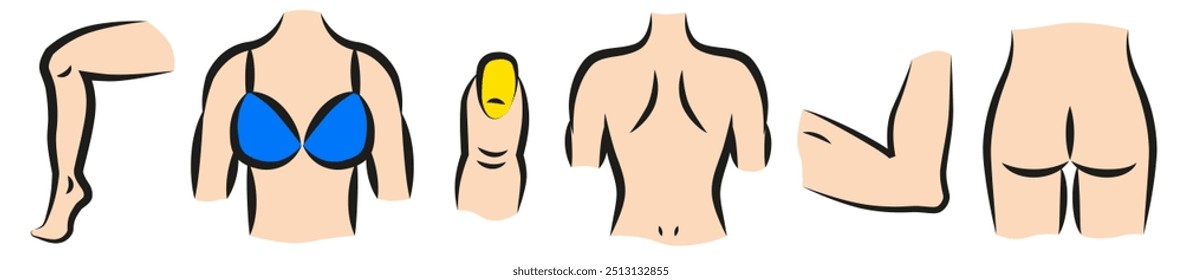 Parts of a woman's body. Anatomy. Colored parts of a woman's body with a black outline. EPS 10.