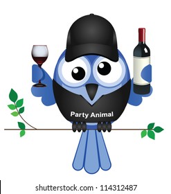 Party Animal bird sat on a branch isolated on white background