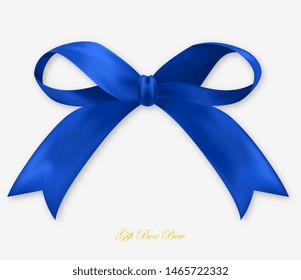 Party Gift blue silk bow, isolated object