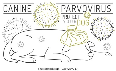 Parvovirus in dogs. First signs of parvo. Canine gastrointestinal contagious disease. Medical banner in simple line style. Horizontal poster. Editable vector illustration isolated on white background