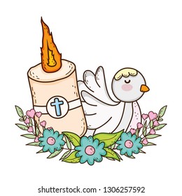 Paschal candle sacred with dove bird