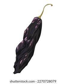 pasilla chilli hot vegetable icon