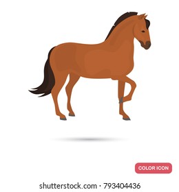 Paso Fino horse color flat icon