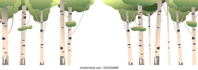 Passage in thickets of birches. Isolated on white background. Summer landscape forest and trees. horizontal composition. Nature view. Cartoon fun style. Flat design. Vector.